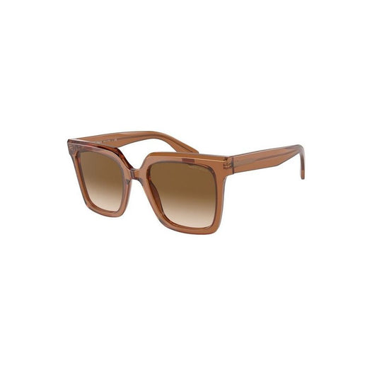 Brown Acetate Sunglasses