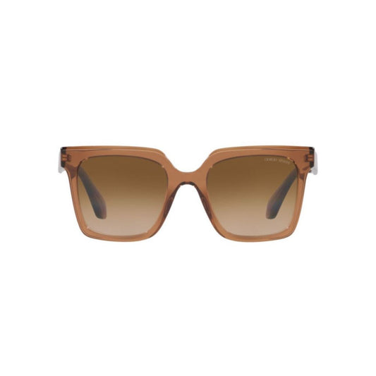 Brown Acetate Sunglasses